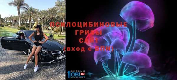 дживик Верея